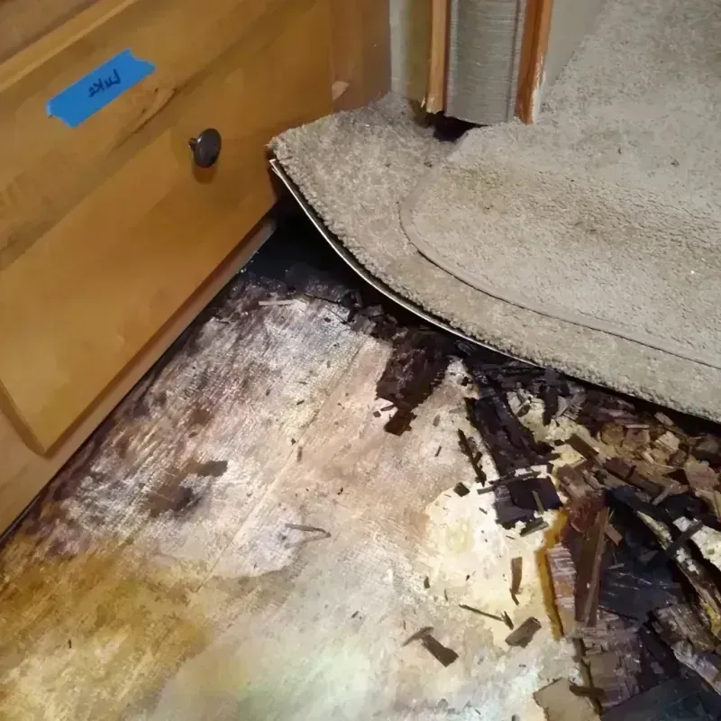 Best Wood Floor Water Damage Service in Easton, MD